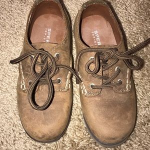 Sperry Oxford Lace Chocolate